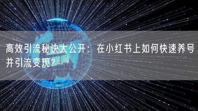 高效引流秘诀大公开：在小红书上如何快速养号并引流变现？