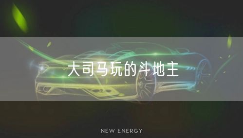 大司马玩的斗地主